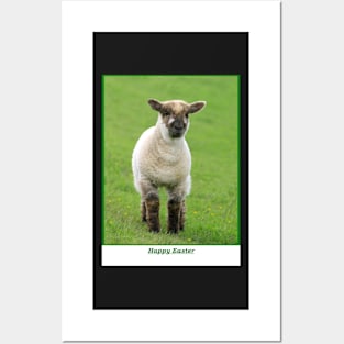 Happy Easter/Spring Lamb Posters and Art